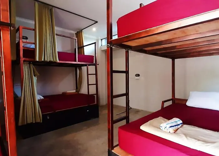 Guest house Urban Jungle House Bali Canggu (Bali)