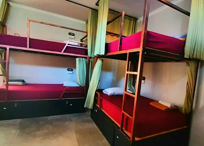 Urban Jungle House Bali Guest house