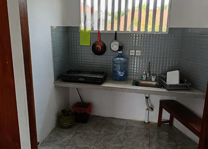 Urban Jungle House Bali Canggu (Bali)